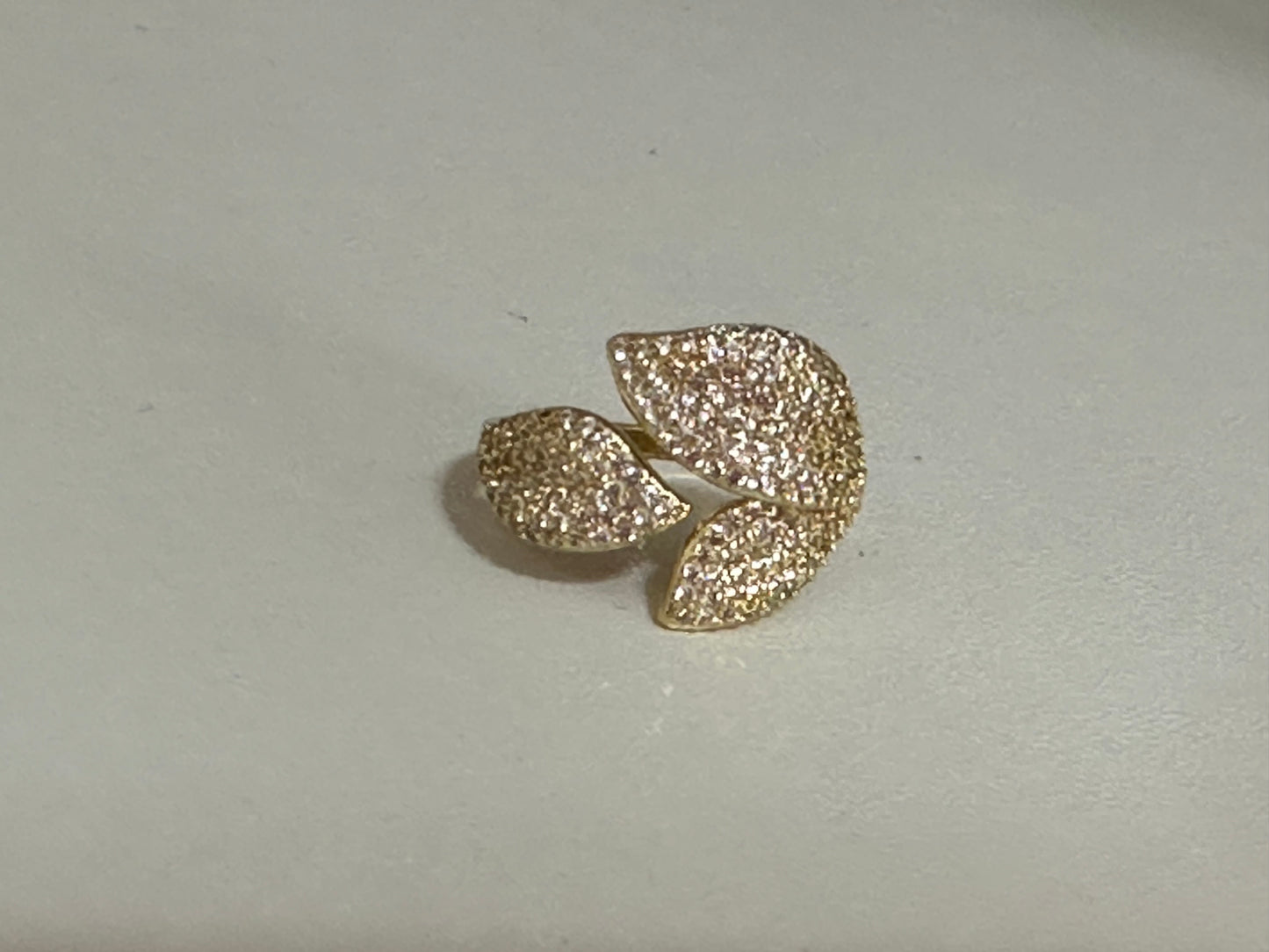 Anillo hoja